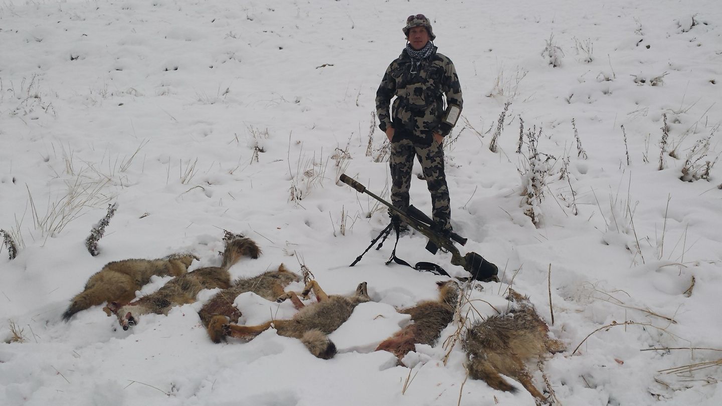 Hunting trophy